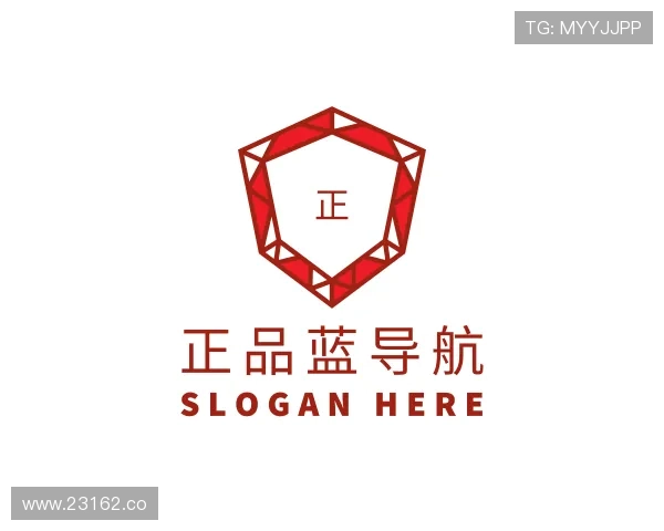 介绍正品蓝导航